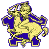 9th Cavalry Unit Patch