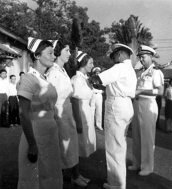 Nurses receiving purple hearts